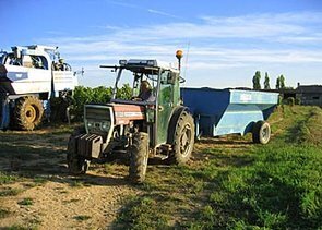 photo18