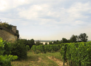 photo22